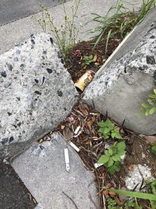 ミツワ観光バス